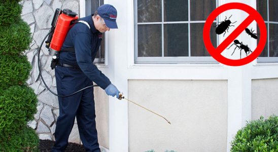 Yeşilyurt Bit İlaçlama böcek ilaçlama ve haşere kontrolü — ilaclama-tr.com